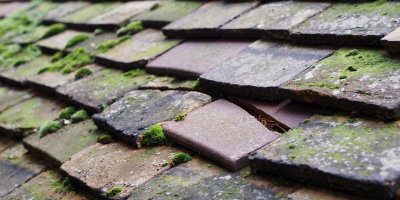 Riverside roof repair costs
